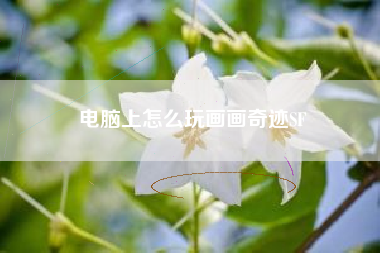 电脑上怎么玩画画奇迹SF