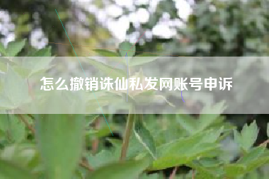 怎么撤销诛仙私发网账号申诉