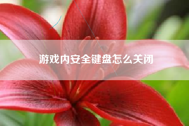 游戏内安全键盘怎么关闭