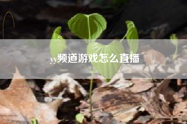 yy频道游戏怎么直播