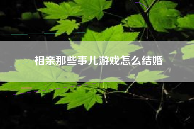 相亲那些事儿游戏怎么结婚