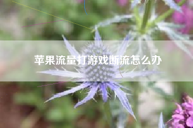 苹果流量打游戏断流怎么办