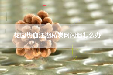 花园热血江湖私发网闪退怎么办