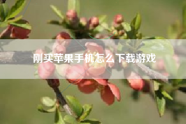 刚买苹果手机怎么下载游戏