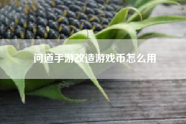 问道手游改造游戏币怎么用