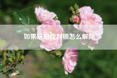 如果玩游戏封锁怎么解除