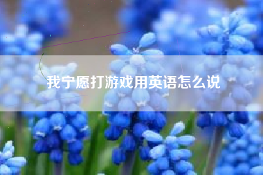 我宁愿打游戏用英语怎么说