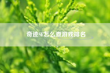 奇迹SF怎么查游戏排名