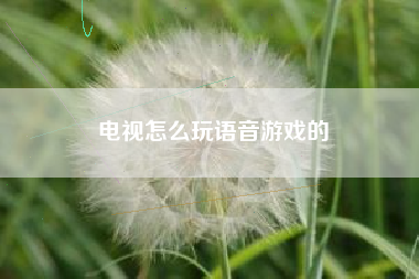 电视怎么玩语音游戏的