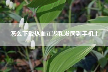 怎么下载热血江湖私发网到手机上