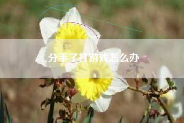 分手了打游戏怎么办