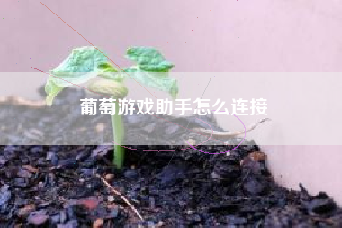 葡萄游戏助手怎么连接