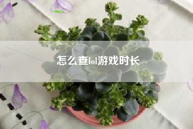 怎么查lol游戏时长