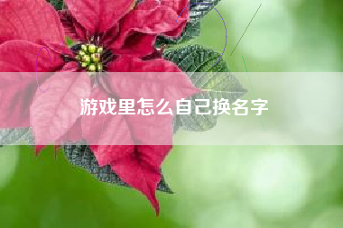 游戏里怎么自己换名字