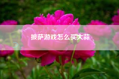 披萨游戏怎么买大蒜