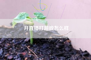 开直播打游戏怎么样