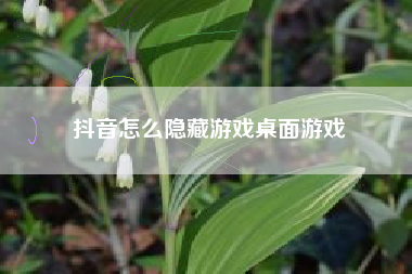 抖音怎么隐藏游戏桌面游戏