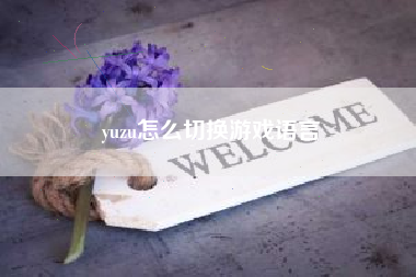 yuzu怎么切换游戏语言