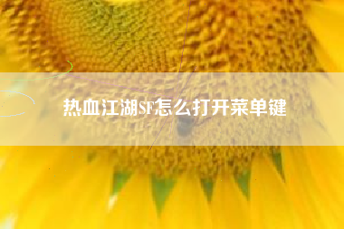 热血江湖SF怎么打开菜单键