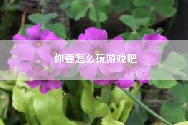 你要怎么玩游戏吧