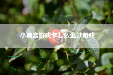 小黑盒游戏卡怎么退款游戏