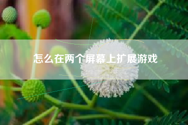 怎么在两个屏幕上扩展游戏