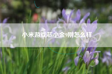 小米游戏芯小金9刚怎么样