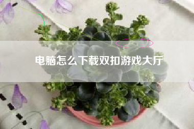 电脑怎么下载双扣游戏大厅