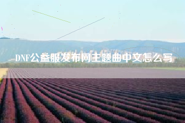 DNF公益服发布网主题曲中文怎么写