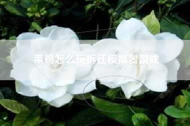 菜鸡怎么玩拆迁模拟器游戏