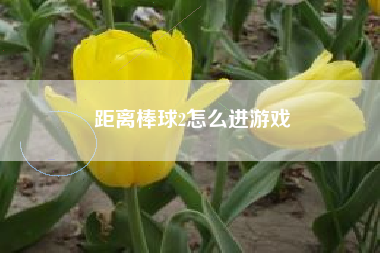 距离棒球2怎么进游戏