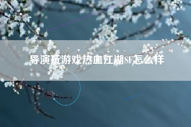 导演玩游戏热血江湖SF怎么样