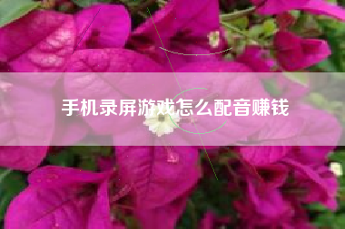 手机录屏游戏怎么配音赚钱