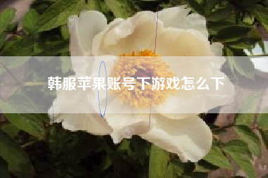 韩服苹果账号下游戏怎么下