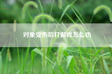 对象受伤后打游戏怎么劝