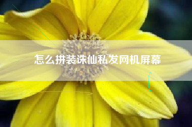 怎么拼装诛仙私发网机屏幕