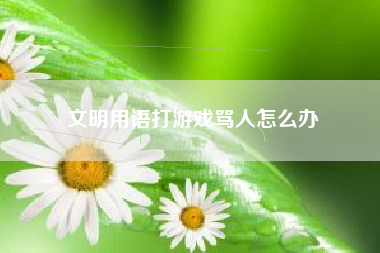 文明用语打游戏骂人怎么办