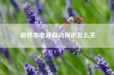 游戏本电源自动保护怎么关