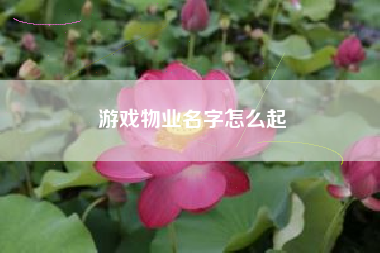 游戏物业名字怎么起