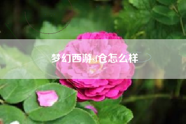 梦幻西游sf仓怎么样