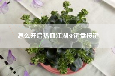 怎么开启热血江湖SF键盘按键