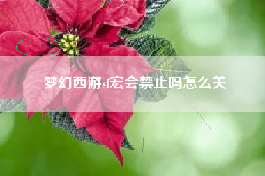 梦幻西游sf宏会禁止吗怎么关