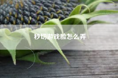 秒切游戏脸怎么弄