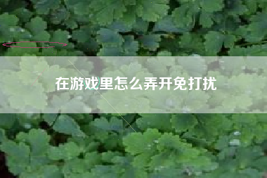 在游戏里怎么弄开免打扰