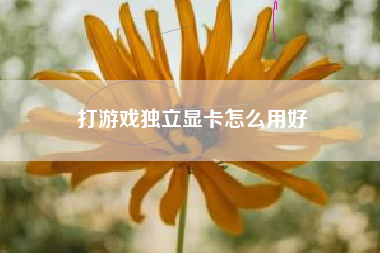 打游戏独立显卡怎么用好