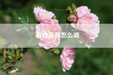 游戏声音怎么调