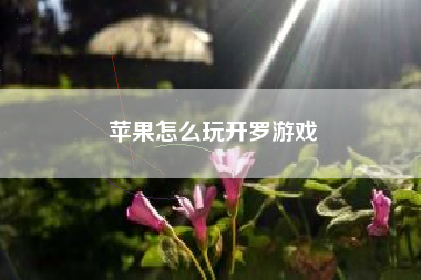 苹果怎么玩开罗游戏