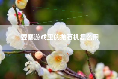 要塞游戏里的抛石机怎么用