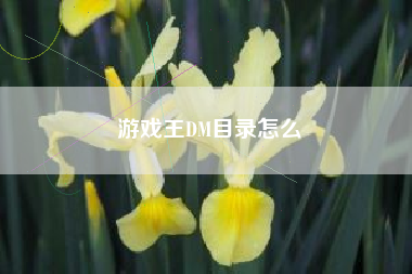 游戏王DM目录怎么