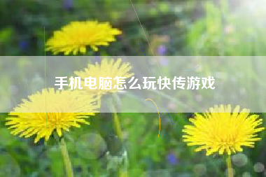 手机电脑怎么玩快传游戏